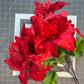 Large Christmas Wreath Kit, Poinsettia Evergreen Wreath Kit, Do It Yourself Christmas Door or Wall Decor, Merry Christmas Wreath Decoration