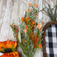 Carrot Grapevine Kit WITH VIDEO, Easter Door Hanger Kit, Easter DIY Wall Decoration, Black White Checkered Carrot Shaped Grapevine Bundle
